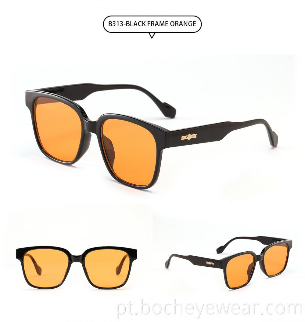 B313 Sunglasses